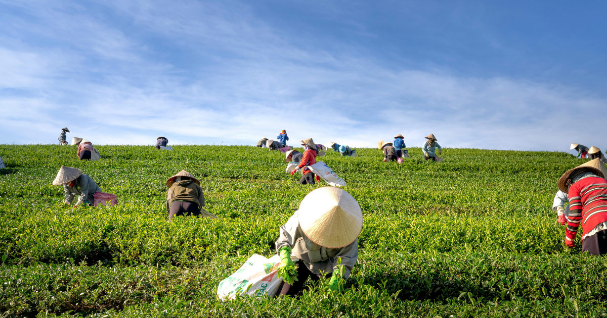 Ausbildung - Panduan Lengkap Ausbildung Pertanian di Jerman