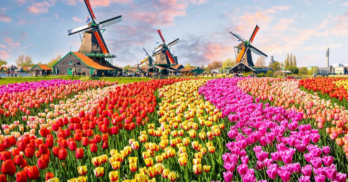 Belanda - 10 Negara dengan Gaji Tertinggi di Dunia, Menggiurkan!