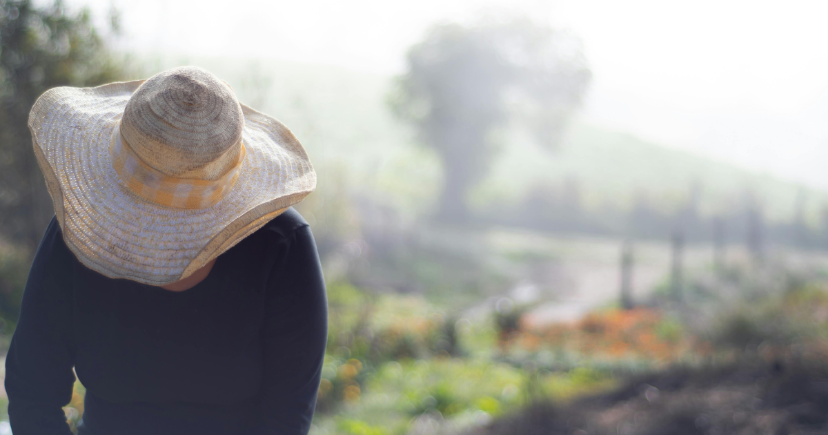 Green Jobs - Apa Itu Green Jobs? Yuk Kenali Prospek serta Tantangannya